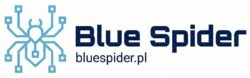 logo bluespider.pl